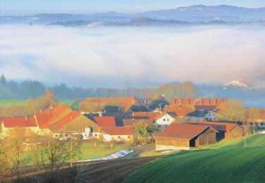 Tocht Te voet Thyrnau - Kernmühle - Kellberg - Erlau - Photo