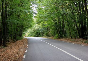 Tocht Te voet  - Țuțuiatu - Photo