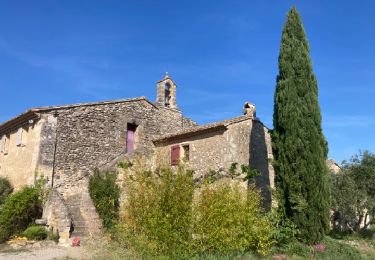 Trail Walking Vernègues - Boucle Vernègues - Photo