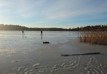 Tocht Te voet  - Vildmarkstigen - Photo