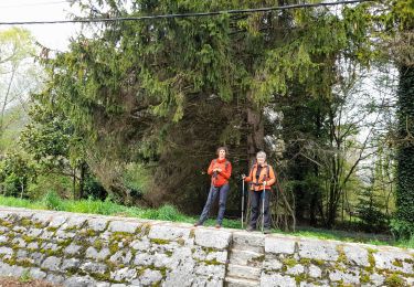 Trail Walking Motz - MOTZ SERRIERES: BORDS DU RHONE - Photo