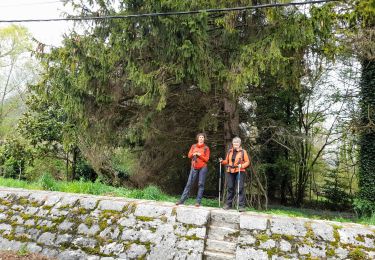 Tocht Stappen Motz - MOTZ SERRIERES: BORDS DU RHONE - Photo