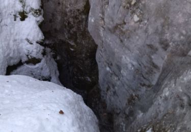 Tocht Sneeuwschoenen La Chapelle-en-Vercors - 26 raq claveyron - Photo