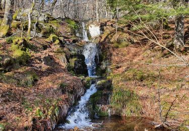 Excursión Senderismo Le Claux - Le Suc de la Blatte - Photo