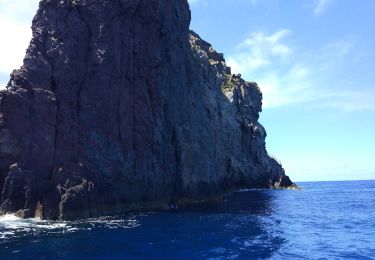 Randonnée A pied Cittanova - Sentiero del Brigante - Tappa 5 - Photo