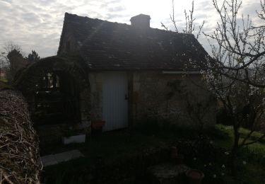 Trail Walking Vouvray - 07032021 Vouvray - Photo