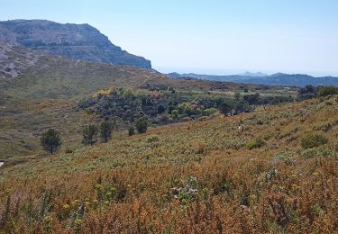 Excursión Senderismo Marsella - Mont Carpiagne - Photo