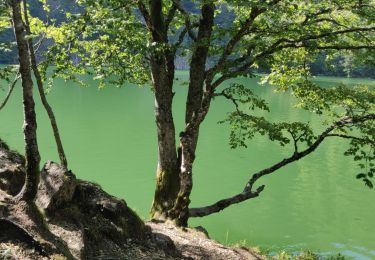 Trail Walking Kirchberg - 2022-07-15 Marche Refuge Baerenkopf Auberge Gazon Vert - Photo