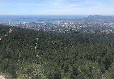 Tour Wandern Ollioules - Arrière pays toulonnais  - Photo