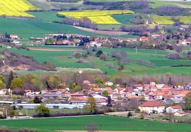 Tour Wandern Saint-Myon - St_Myon_Morge_Puy_Loule - Photo