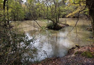 Trail Walking Blanquefort - Pnl Tanais - Photo