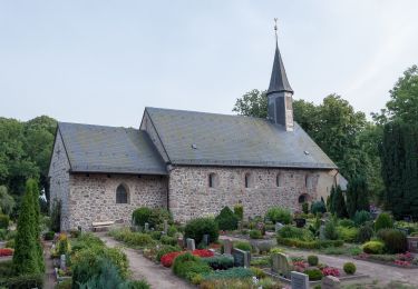 Tocht Te voet Busdorf - Noorroute - Photo