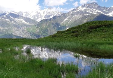 Trail Walking Hauteluce - COL DE LA FENETRE DEPUIS LE COL DE jOLY - Photo