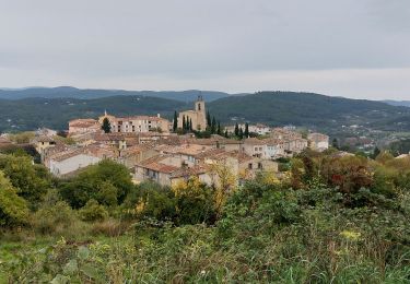 Randonnée Marche Flayosc - flayosc  - Photo