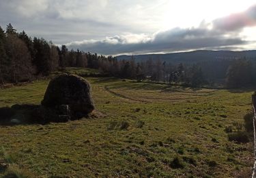 Trail Walking Peyre en Aubrac - 25-12-2022 lac du Moulinet - Photo