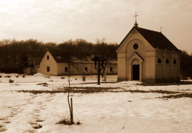 Percorso A piedi Gánt - S■ - Photo