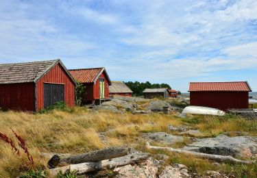 Randonnée A pied  - Motionsspår blå (Svartlöga) - Photo