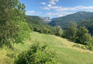 Trail Walking Argis - Argis - Oncieu  - Photo