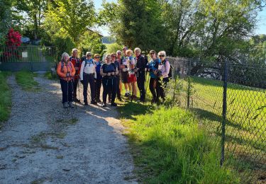 Percorso Marcia Peyrat-le-Château - 2025-05-17-Le Lac de Vassiviere  - Photo