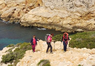 Trail Walking Saint-Cyr-sur-Mer - la madrague  - Photo