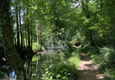 Tocht Stappen Chimay - Vous de Beaumont Natura 2000 - Photo