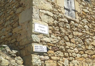 Tour Wandern Larroque - sentier des Mespel - Photo