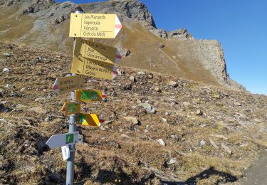 Randonnée A pied Mont-Noble - Le Louché Lac - Col du Cou - Photo