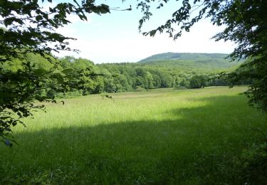 Tocht Te voet Kelkheim - Rund um den Rettershof: Weg 9 - Photo