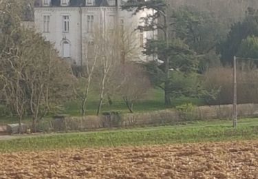 Trail Walking Taillebourg - Brizanbourg - Photo