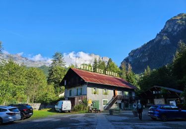 Tour Wandern Les Houches - J6 - Gorges de la Diosaz - Photo