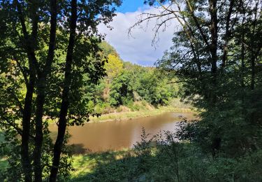 Tour Wandern Herbeumont - rando straimont 20-09-2022 - Photo