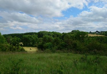 Percorso Marcia Monts - Monts - Artannes-sur-Indre - 11.1km 100m 2h20 - 2020 05 22 - Photo
