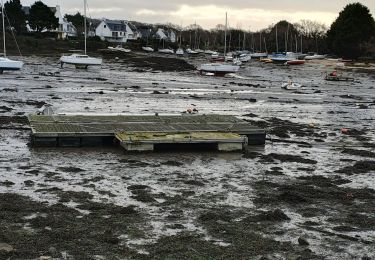 Randonnée Marche Concarneau - Lanriec - Photo