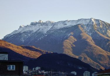 Percorso A piedi Besenello - Senter del Bus del Giaz - Photo