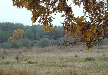 Tocht Stappen Velleron - Arrayers  - Photo