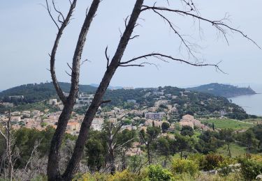 Excursión Senderismo Saint-Mandrier-sur-Mer - saint mandrier sur mer - Photo