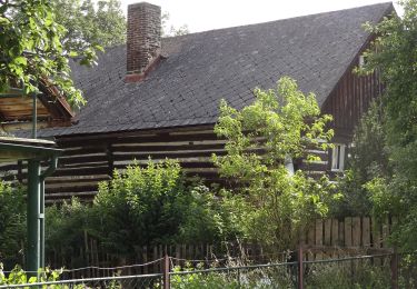 Percorso A piedi Bělá pod Bezdězem - NS Březinské studánky - Photo