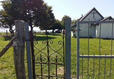 Excursión Senderismo Pagolle - PAGOLLE et la chapelle St gregoire G3 