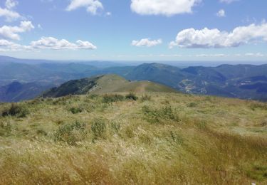 Trail Walking Vesc - Mielandre par col d'Espreaux 7km - Photo