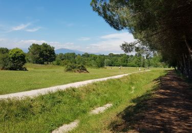 Tocht Stappen Mougins - Fontemerle - Photo