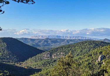 Excursión Senderismo Plan-d'Aups-Sainte-Baume - boucle sentier merveilleux 13 km - Photo