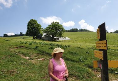 Tour Wandern Le Sappey-en-Chartreuse - eymindrads - Photo