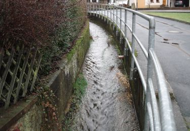 Percorso A piedi Partenstein - Ortswanderweg Partenstein 7 - Photo