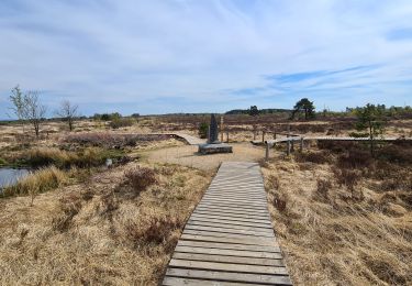 Excursión Senderismo Stoumont - Andrimont-Berinzenne-MontdesBrumes - Photo