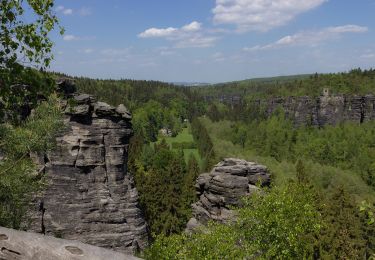 Tour Zu Fuß Bad Gottleuba-Berggießhübel - Blauer Strich - Photo