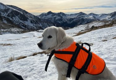 Excursión Raquetas de nieve Isola - Tête Mercière  - Photo