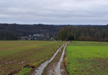 Excursión Senderismo Marchin - Marche ADEPS Vyle-Tharoul 15 Km - Photo