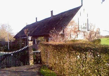 Tocht Te voet Hoeksche Waard - Sint Anthoniepolderroute - Photo