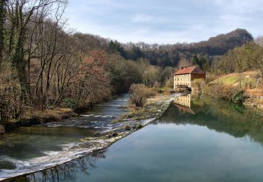 Percorso A piedi Baume-les-Dames - La Croix de Châtard - Photo