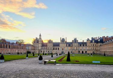 Tour Zu Fuß Fontainebleau - Rando des trois châteaux parcours 42 km Fontainebleau Vaux le vicomte Blandy les tours - Photo